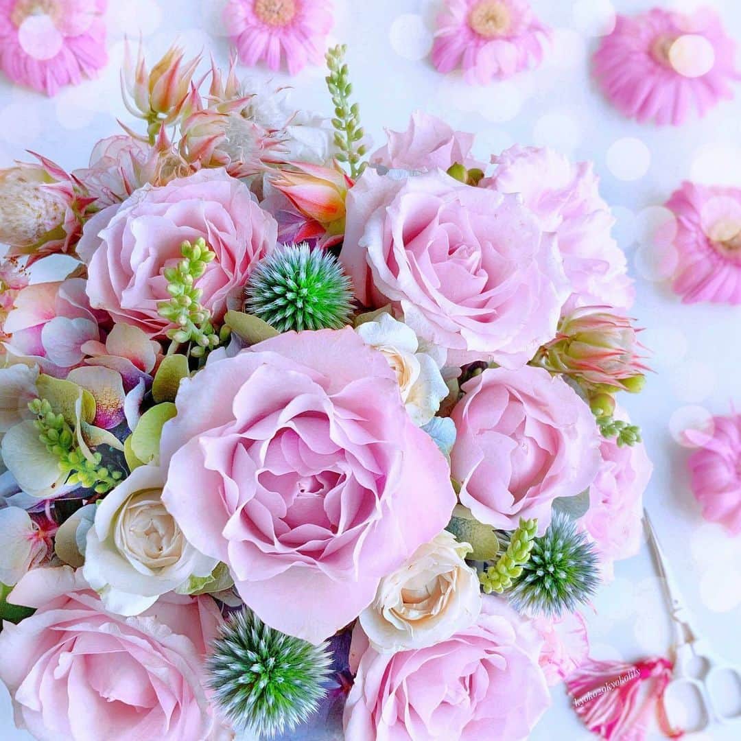 花の写真館のインスタグラム：「Photo by @kyoko29kyokolily. https://instagram.com/kyoko29kyokolily/ . Original Post[投稿いただいたURL] https://www.instagram.com/p/Cw5Q32Gyt4S/ . 本アカウントは、 #私の花の写真 をつけてInstagramに投稿された皆さまの花の写真や、「花の写真館」Facebookページで投稿された花の写真を紹介します。 「花の写真館」Facebookページは、「 @floral.photograph 」のプロフィールにあるURLからご覧ください。 . ※各種法令、マナー、関係者の指示に従った撮影をお願いします。 *Please ensure that your photography adheres to all relevant laws, etiquette, and instructions issued by authorized persons. ※本アカウントは東京カメラ部がFacebook、Instagramのサービスを利用して運営しているもので、Meta社・Instagramとは一切関係ありません。 . #花の写真館 #floralphotograph #floralphoto #flower #flowers Follow: @floral.photograph」