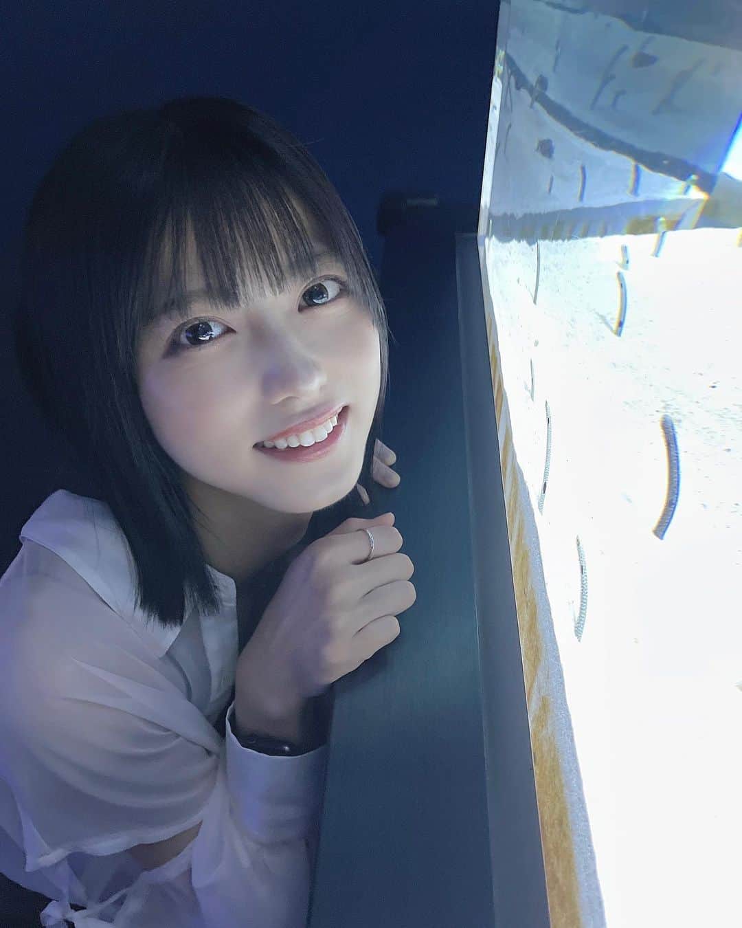 のインスタグラム：「水族館たまーに行くと楽しい！ 気まぐれクックさん見てたからどれがどういう魚とか大体分かるから余計楽しい！w . #水族館 #すみだ水族館 #aquarium #浅草 #asakusa #夏 #summer #夏コーデ #summerfashion #インナーカラー #japan #idol #pwc #白キャン #真っ白なキャンバス #西野千明 #アイドル #いいね #ボブ #ショートボブ #followｍe #instagood #fashion #like4like #ootd」