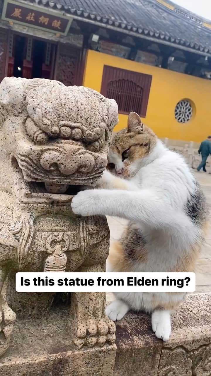 Cute Pets Dogs Catsのインスタグラム：「Is this statue from Elden ring?  Credit: adorable @美时⁺好物⁵¹¹ | DY ** For all crediting issues and removals pls 𝐄𝐦𝐚𝐢𝐥 𝐮𝐬 ☺️  𝐍𝐨𝐭𝐞: we don’t own this video/pics, all rights go to their respective owners. If owner is not provided, tagged (meaning we couldn’t find who is the owner), 𝐩𝐥𝐬 𝐄𝐦𝐚𝐢𝐥 𝐮𝐬 with 𝐬𝐮𝐛𝐣𝐞𝐜𝐭 “𝐂𝐫𝐞𝐝𝐢𝐭 𝐈𝐬𝐬𝐮𝐞𝐬” and 𝐨𝐰𝐧𝐞𝐫 𝐰𝐢𝐥𝐥 𝐛𝐞 𝐭𝐚𝐠𝐠𝐞𝐝 𝐬𝐡𝐨𝐫𝐭𝐥𝐲 𝐚𝐟𝐭𝐞𝐫.  We have been building this community for over 6 years, but 𝐞𝐯𝐞𝐫𝐲 𝐫𝐞𝐩𝐨𝐫𝐭 𝐜𝐨𝐮𝐥𝐝 𝐠𝐞𝐭 𝐨𝐮𝐫 𝐩𝐚𝐠𝐞 𝐝𝐞𝐥𝐞𝐭𝐞𝐝, pls email us first. **  #sleepingkitty #instakitties #kittycuddles  #catladylife #catsareawesome」