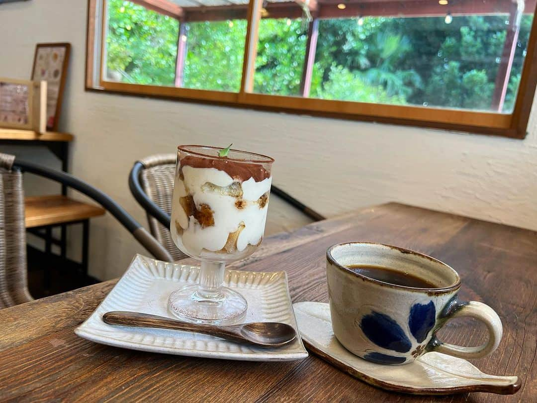 高松いくのインスタグラム：「ケーキ🍰やティラミス 沖縄料理のジューシーも 森の中のカフェ☕️ で、のーんびり いかがですか？？🕊️ ほんと、 優しい時間が流れるのです。 時計見たくなくなっちゃう。  フクギ並木散歩の途中に ひと休み😌  テラスもあり 緑に囲まれて 贅沢な休日でした...☺️  @bise_style_with_rental_trike   今度は、沖縄そばとケーキ🍰 食べに行きたいな😋  #沖縄 #備瀬 #フクギ並木  #備瀬のフクギ並木  #カフェ #ケーキ #コーヒー #テラス #癒し  #okinawa #bise #fukukitaru  #cafe #caffe #cake #やちむん #コーヒーカップ」