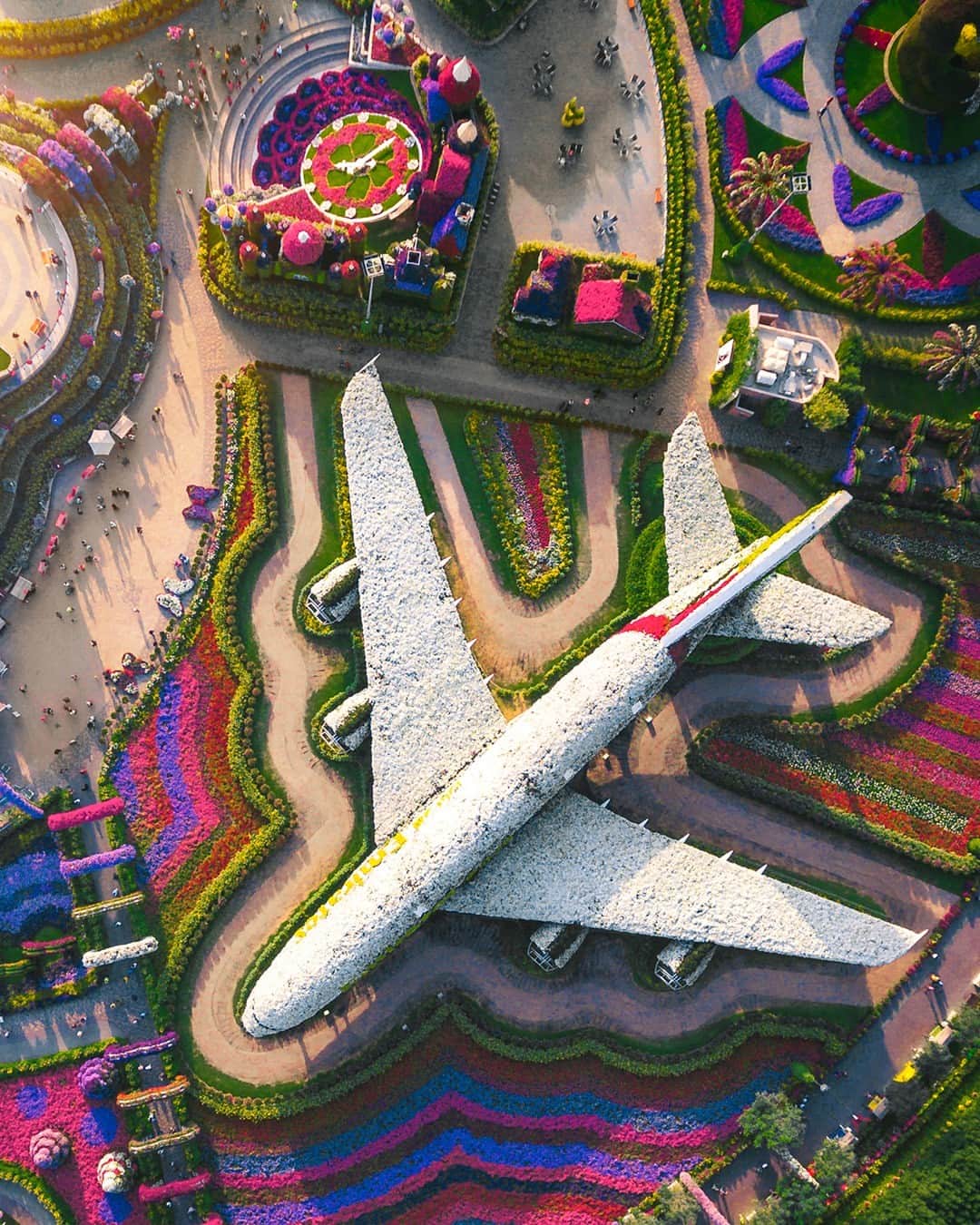 エミレーツ航空のインスタグラム：「Lose yourself amongst countless gardens filled with 150 million flowers, including a life-size version of our iconic A380!   At @DubaiMiracleGarden, you're in for a bloomin' good time. 🌸✨  #Emirates #FlyBetter #MyDubai」