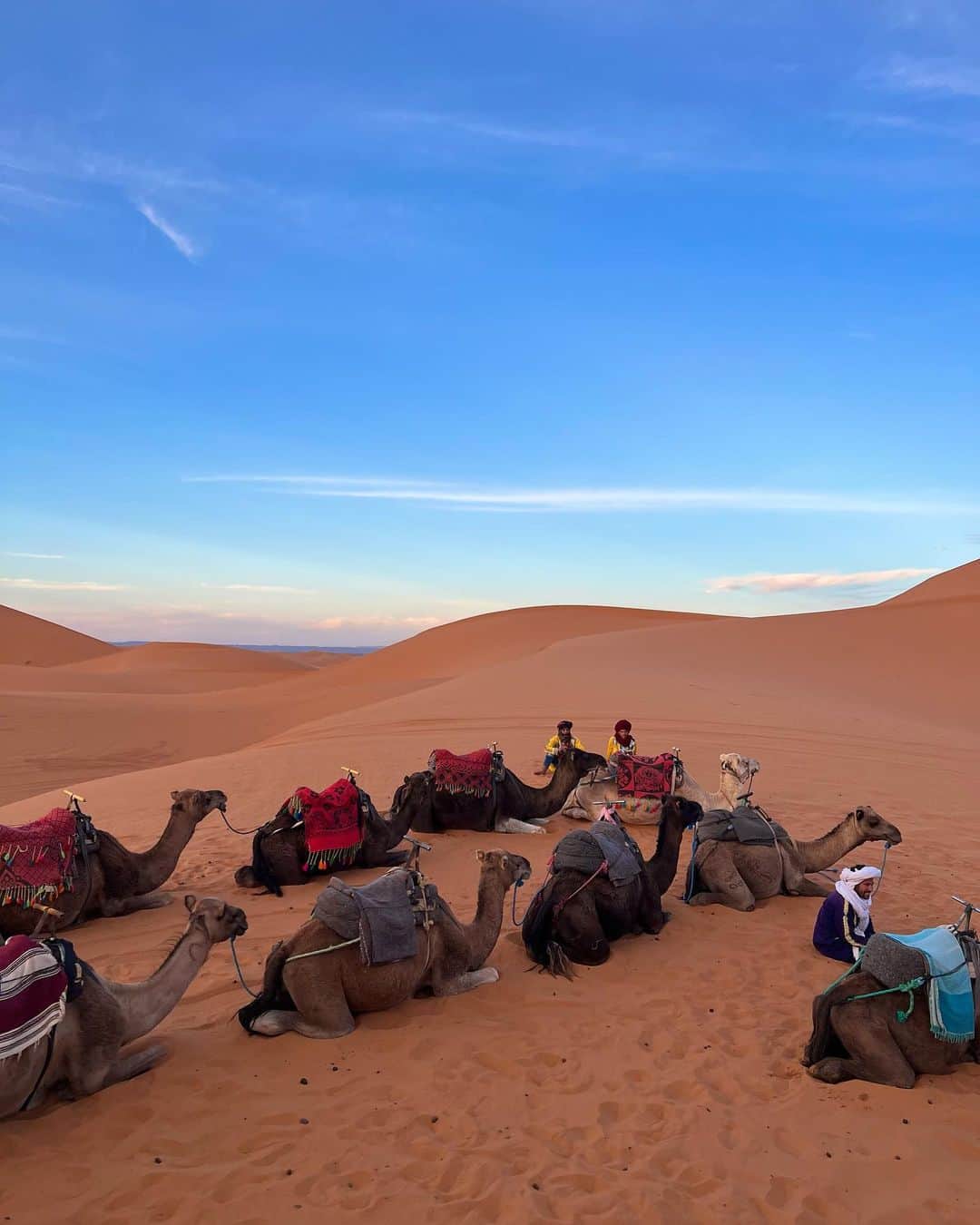 出井直助さんのインスタグラム写真 - (出井直助Instagram)「. 🇲🇦モロッコ・サハラ砂漠🏜  今日は【サハラ砂漠】でキャンプ⛺️ 日中は暑く、夜は冷えます。  砂漠でしか経験できないことを、 沢山しようと思います😎  #モロッコ #サハラ砂漠 #砂漠 #海外旅行  #morocco #moroccotravel #saharadesert #desert」10月7日 20時04分 - ocean_naosuke