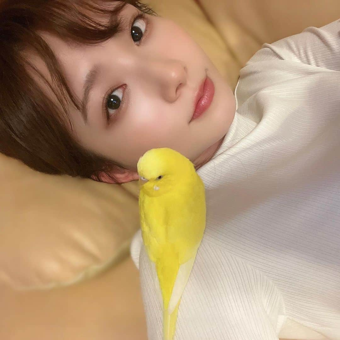 青山なぎささんのインスタグラム写真 - (青山なぎさInstagram)「ぽぴと私 #セキセイインコ #セキセイインコのいる暮らし #鳥しか勝たん」10月7日 20時08分 - aoyamanagisa_official