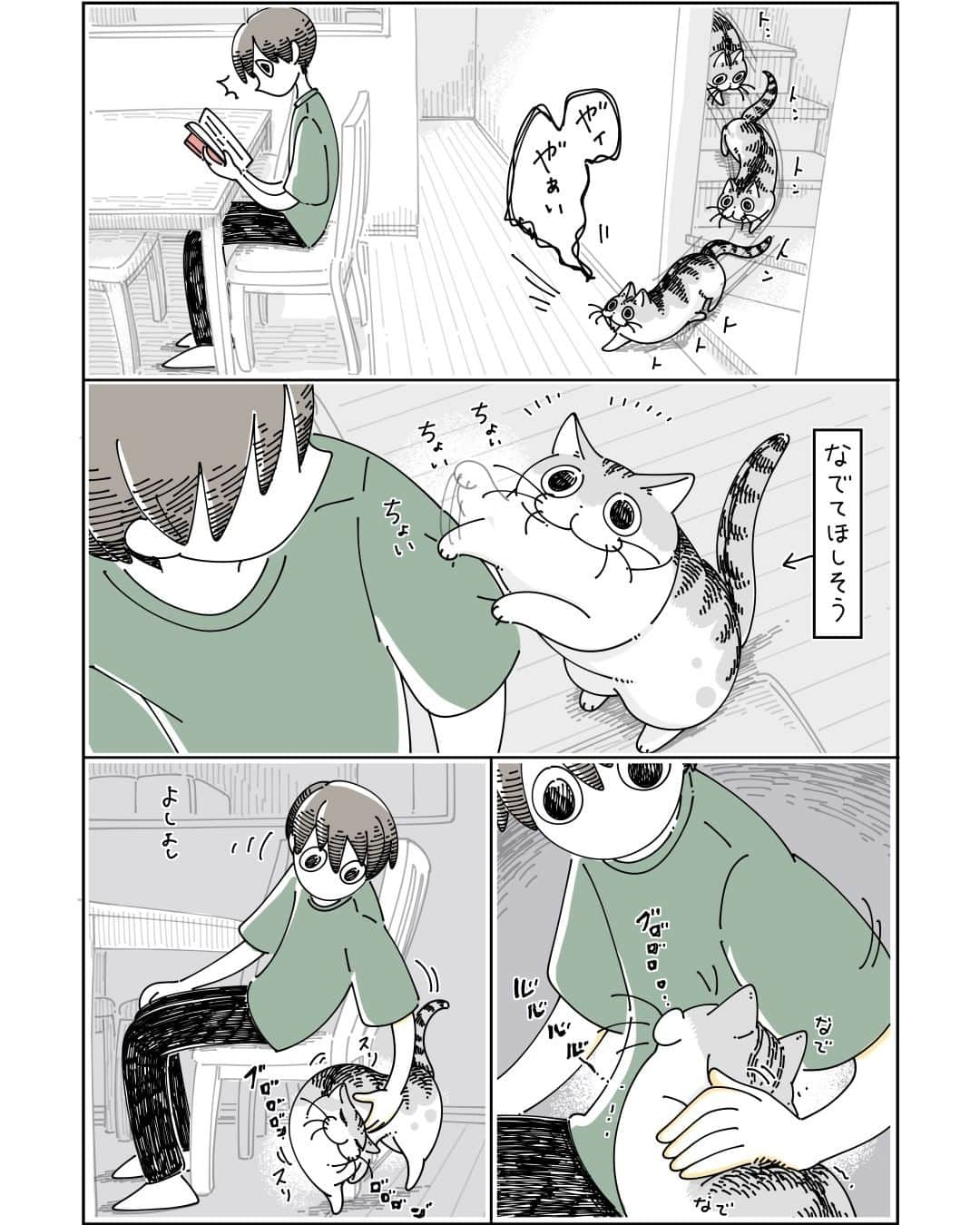 キュルZのインスタグラム：「寄り道しちゃうネコ  #キュルガ #夜は猫といっしょ #猫 #cat #猫漫画 #猫のいる暮らし」