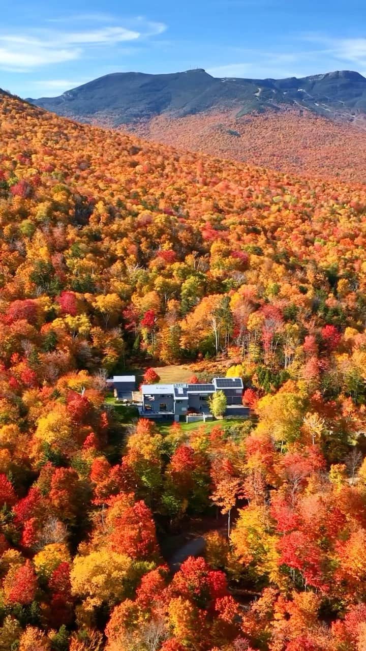 Wonderful Placesのインスタグラム：「Amazed by @ericrubens stunning footage of fall colors explosions in Vermont 😍😍🍂🍂 Tag who you’d go with!!! . 📹 ✨@ericrubens✨ 📍 Vermont - USA 🇺🇸  #wonderful_places for a feature ♥️」