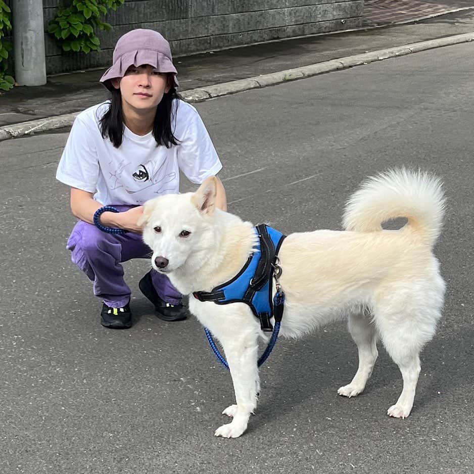 SHOW-GOのインスタグラム：「なつのいぬ」