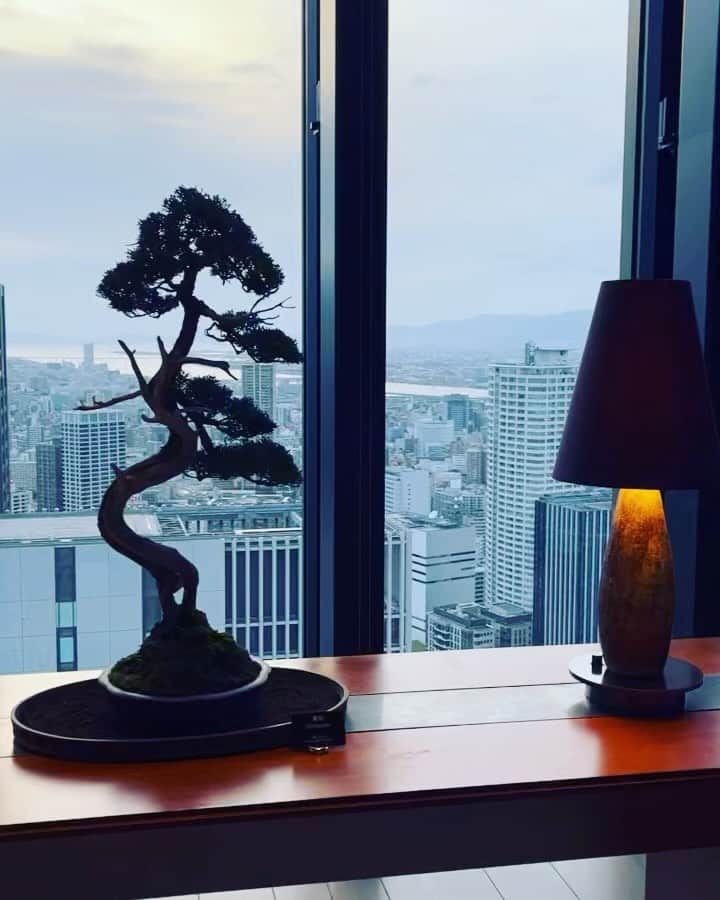 金村義明のインスタグラム：「大阪戻って、ホテルチェックイン！ 丁度今日で丸1週間、明日は、コンラッド大阪で弟の長男の結婚式！今日から部屋とってくれてチェックイン 初コンラッド大阪、エグゼクティブルーム、サウナ 最高でした！本町の居酒屋で飲んで食って、ホテル戻ってエグゼクティブルームで寝酒ハイボール飲んで、ダウン」