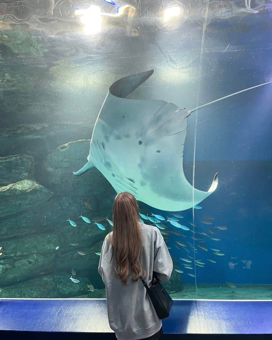 三品瑠香さんのインスタグラム写真 - (三品瑠香Instagram)「水族館がすきー マンタさんがかわいくてとてもよかった」10月7日 21時09分 - ruka_mishina