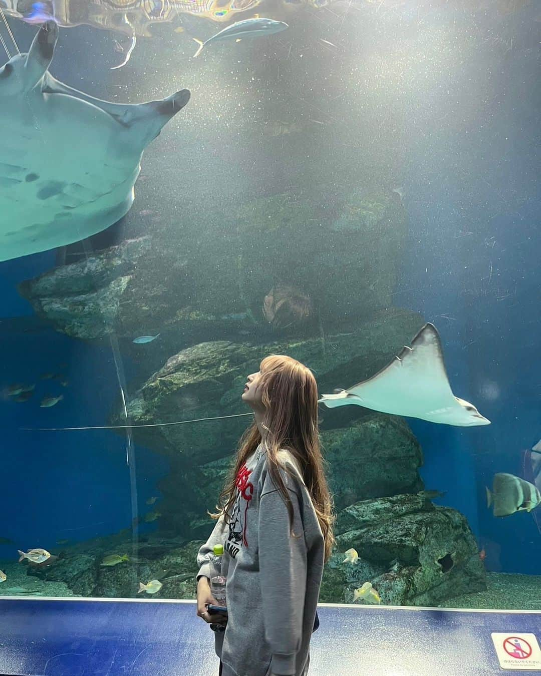 三品瑠香のインスタグラム：「水族館がすきー マンタさんがかわいくてとてもよかった」