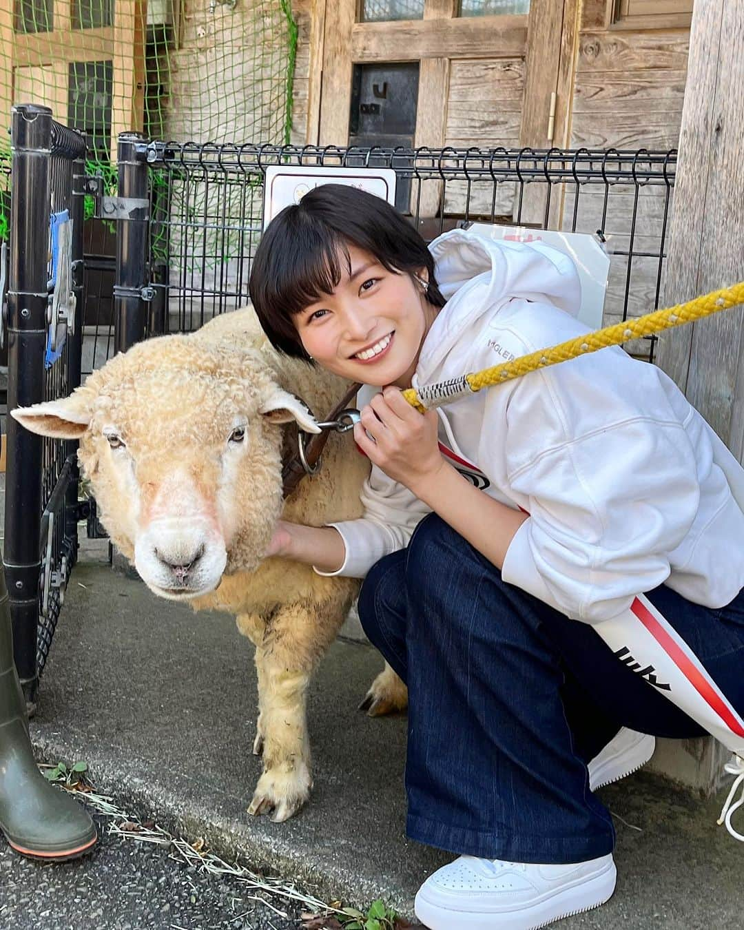 大島璃乃さんのインスタグラム写真 - (大島璃乃Instagram)「本日、桐生が岡動物園の １日動物園長を務めました！！！  小さい頃から学校やプライベートで何度も訪れた動物園の １日動物園長を務めることができ、本当に光栄に思います。 とっても充実した１日でした🦓🦩🦁🦒🐊  特にキーパーズトーク(飼育員さんが日頃の経験や知識、 技術や研究を生かした解説)は、 今までに知らなかった動物の生態を知ることができたり、 餌やり体験を通して動物と触れ合えたり。 来園者の皆さまがすごく楽しんでいたのが 印象的でした！！！  桐生が岡動物園で働く職員・飼育員の皆さま、 今日は様々なことを教えてくださったり、 サポートしてくださり、本当にありがとうございました。 とても勉強になりました📚！！！  また70年もの間、大切に愛され続ける動物園が 地元・桐生にあることをとても誇りに思います。 これからもたくさんの方に来ていただきたい 動物園だと心から思います！！！  来週は月曜㊗️日ということで、皆さま！！！ ぜひ桐生が岡動物園に遊びに行ってみてねっ🙋‍♀️🩷  これほど立派な動物園が入場無料ということに びっくり🫢‼️ですが、園内には募金箱もあるので… 募金もぜひよろしくお願いいたします🙏🙏🙏  本当に貴重な経験をさせてくださり、 ありがとうございました！！！  #桐生が岡動物園 #群馬 #桐生  #動物園 #動物 #１日園長 #動物園長  #キーパーズトーク #70周年 #記念  #群馬観光 #群馬県 #群馬旅行 #群馬イベント  #桐生市 #桐生観光 #観光スポット  #入場無料  #gunma #kiryu #sightseeing #zoo」10月7日 21時10分 - oisland_rino25