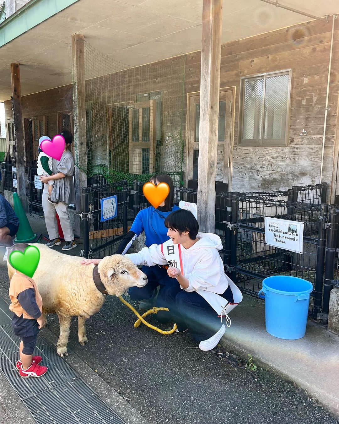 大島璃乃さんのインスタグラム写真 - (大島璃乃Instagram)「本日、桐生が岡動物園の １日動物園長を務めました！！！  小さい頃から学校やプライベートで何度も訪れた動物園の １日動物園長を務めることができ、本当に光栄に思います。 とっても充実した１日でした🦓🦩🦁🦒🐊  特にキーパーズトーク(飼育員さんが日頃の経験や知識、 技術や研究を生かした解説)は、 今までに知らなかった動物の生態を知ることができたり、 餌やり体験を通して動物と触れ合えたり。 来園者の皆さまがすごく楽しんでいたのが 印象的でした！！！  桐生が岡動物園で働く職員・飼育員の皆さま、 今日は様々なことを教えてくださったり、 サポートしてくださり、本当にありがとうございました。 とても勉強になりました📚！！！  また70年もの間、大切に愛され続ける動物園が 地元・桐生にあることをとても誇りに思います。 これからもたくさんの方に来ていただきたい 動物園だと心から思います！！！  来週は月曜㊗️日ということで、皆さま！！！ ぜひ桐生が岡動物園に遊びに行ってみてねっ🙋‍♀️🩷  これほど立派な動物園が入場無料ということに びっくり🫢‼️ですが、園内には募金箱もあるので… 募金もぜひよろしくお願いいたします🙏🙏🙏  本当に貴重な経験をさせてくださり、 ありがとうございました！！！  #桐生が岡動物園 #群馬 #桐生  #動物園 #動物 #１日園長 #動物園長  #キーパーズトーク #70周年 #記念  #群馬観光 #群馬県 #群馬旅行 #群馬イベント  #桐生市 #桐生観光 #観光スポット  #入場無料  #gunma #kiryu #sightseeing #zoo」10月7日 21時10分 - oisland_rino25