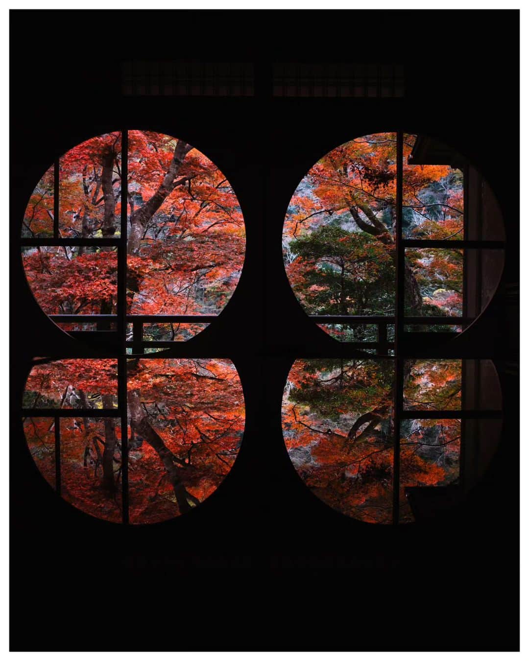 Takashi Yasuiさんのインスタグラム写真 - (Takashi YasuiInstagram)「Kyoto 🍁 November 2021  #陰翳礼讃 #USETSU #USETSUpresets #unknownjapan #explorejapan #hellofrom #widenyourworld  #createexploretakeover #passionpassport  #MadeWithLightroom #vscofilm #huntgram #hbouthere #hbweekends #photocinematica #SPiCollective #ASPfeatures #reco_ig #TakashiYasui」10月7日 21時44分 - _tuck4