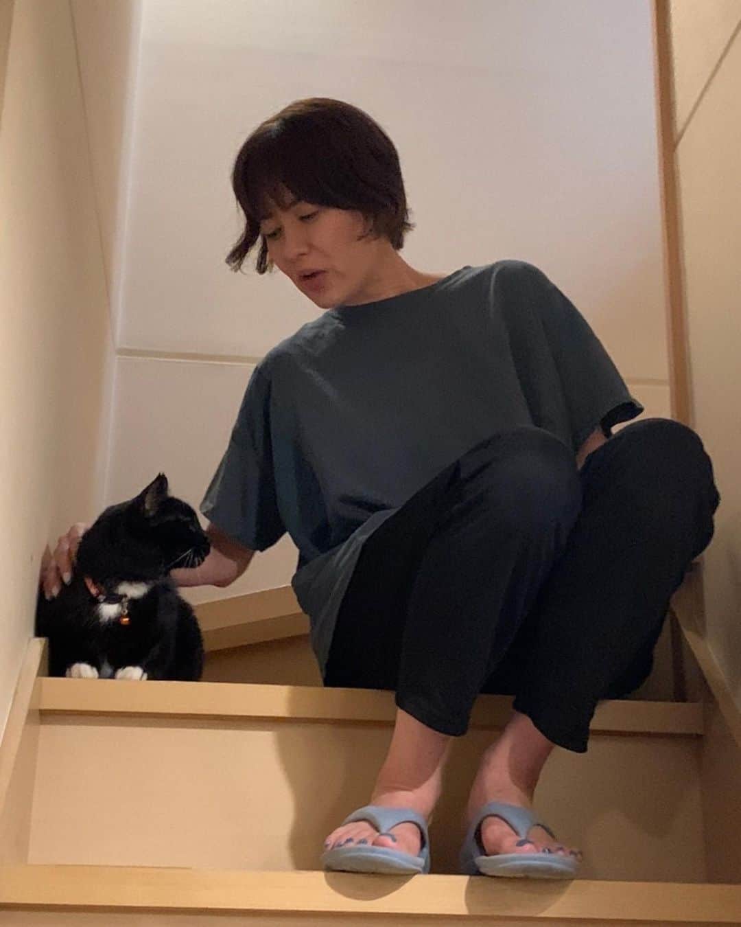 鈴木砂羽さんのインスタグラム写真 - (鈴木砂羽Instagram)「2023年10月7日、 メルシィ姉は 10歳になりました。  早いなぁ、、10年。。。  彼女はずーっとそばに いてくれます🐈‍⬛ 弟ハチくんには相変わらず シャーシャーとキレ気味ですが まあまあ？ 仲良く？！やってます🐈‍⬛🐈  みんなで少しづつ歳を重ねようね。  Mercibeaucoup!!♡  #メルシィ　さん #マンチカン長足 #靴下猫 #黒猫女子部 #ハチ　くん #キジトラ男子部  #10月7日生まれ  #おめでとうございます ㊗️」10月7日 21時56分 - bombon_sawa