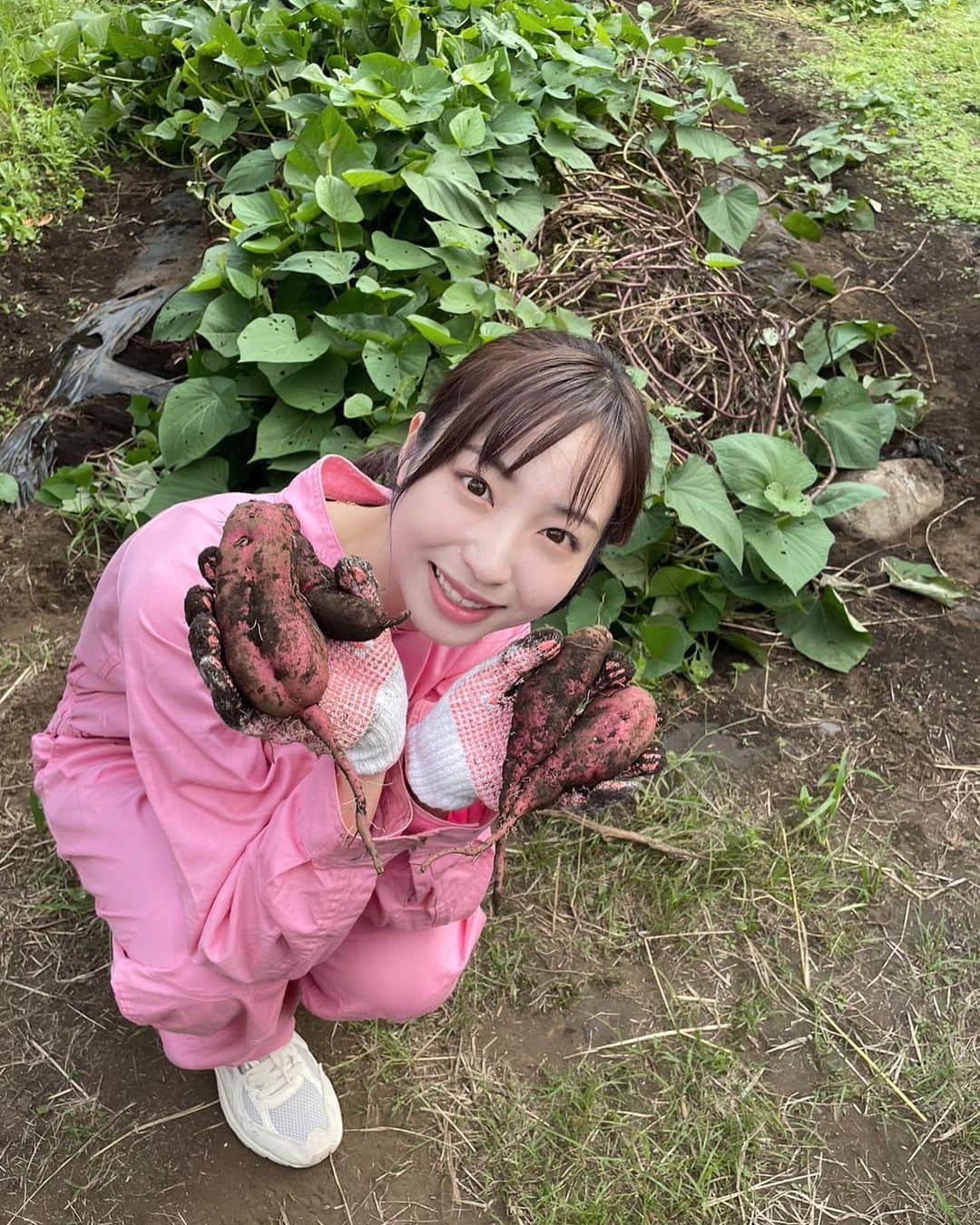 林佑香のインスタグラム：「やってゆか、たくさん収穫してきました！！ 特に大好きなお芋を食べられたのは嬉しかったです🩶 受験期の頃は、癒しが焼き芋で1日に三本以上食べていました🍠冷やして食べるのがおすすめです☺︎ 秋はたくさん食べよーっと！」