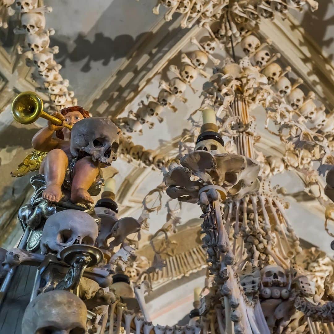 Discoveryさんのインスタグラム写真 - (DiscoveryInstagram)「This chapel in the #CzechRepublic was named a UNESCO World Heritage Site for its unique architecture...which includes more than 40,000 skeletons. 💀🦴  #SedlecOssuary traces its roots to the 1200s, when a handful of dirt from Jerusalem scattered in the local cemetery made it a uniquely popular burial site. In the 1600s, the crowded graveyard was exhumed to make room for new building projects; a local woodcarver was later commissioned to craft the skeletons into décor for the chapel, including a chandelier containing at least one of every bone in the human body!  #History #Architecture」10月7日 22時00分 - discovery
