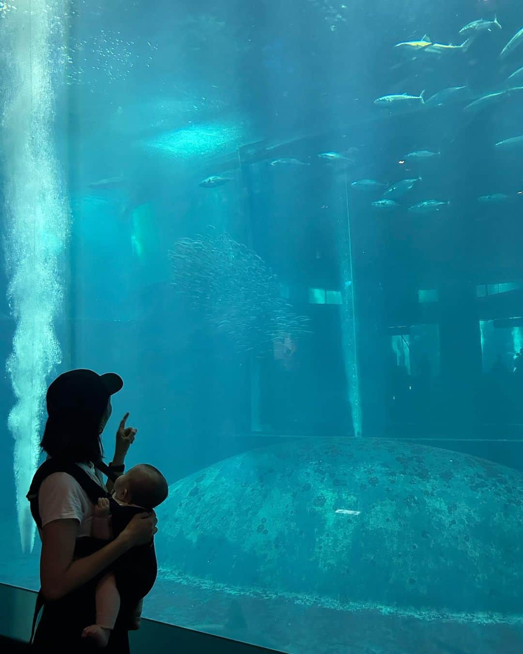 篠原菜月さんのインスタグラム写真 - (篠原菜月Instagram)「Tokyo Sea Life Park🐟🦀🐧✨ ⁡ 気持ちのいい秋晴れ！ 葛西臨海水族園へ遊びに🐟 私はなんと中学生以来、22年ぶりでした！ クロマグロの迫力ある泳ぎが圧巻🫢 👶👶は途中寝てしまったのでまたすぐ行きたいな〜 年パス買おうかな笑 ⁡ @garageofgoodclothing_official の展示会で気に入った タックマキシスカート🖤 さっそく履いてみたよ！ ハリのある素材でシルエットがかわいくて 1日中歩いてたけど、とっても動きやすかった✨ ⁡ ⁡  #葛西臨海公園#葛西臨海水族園#3連休#tokyosealifepark#双子ママ#双子育児#男女双子#秋冬コーデ#秋冬ファッション#タックマキシスカート#garageofgoodclothing#休日コーデ」10月7日 22時11分 - natsukishinohara