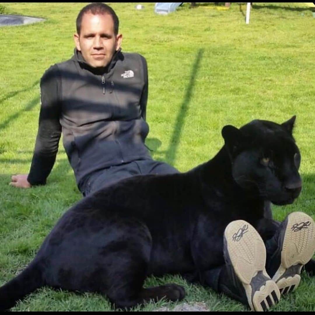 Black Jaguar-White Tiger のインスタグラム：「Never, ever, for a second forget, that what belongs to Cielo, BELONGS TO CIELO… Almost none of my captions are meant for the vid and pic above, they have a second connotation… Happy and Blessed Saturday, my Beloveds… #TheTroyanHorse」
