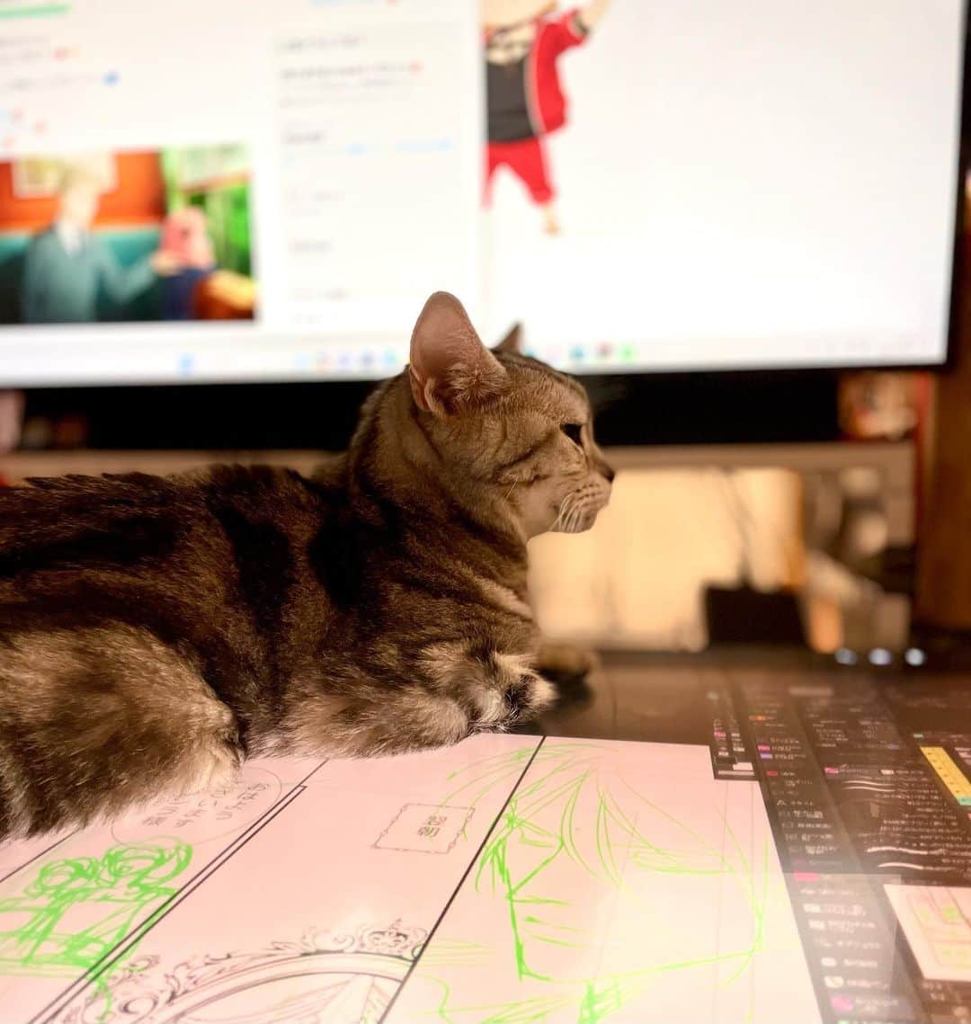佐々木みすずのインスタグラム：「今日も液タブで暖をとる猫🐈」