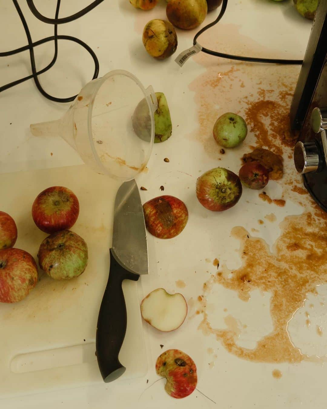 Jackson Harriesさんのインスタグラム写真 - (Jackson HarriesInstagram)「Now taking orders for my first batch of Cider 🍏🍻  This week I did my first cider making course at @foweyvalley in Cornwall and I think I’ve had the seed of a good idea...   Next ambition is to plant an orchard and with any luck I’ll be making my own cider by the time I’m 40 😂  Any ideas for brand names? 🌳🌳🌳」10月7日 22時50分 - jackharries