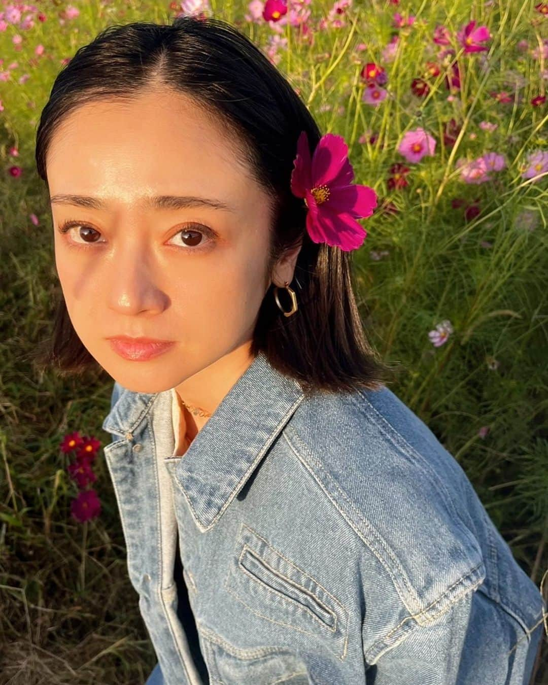 安達祐実のインスタグラム：「🩷🤍🩷 秋桜 と 猫じゃらしの影」