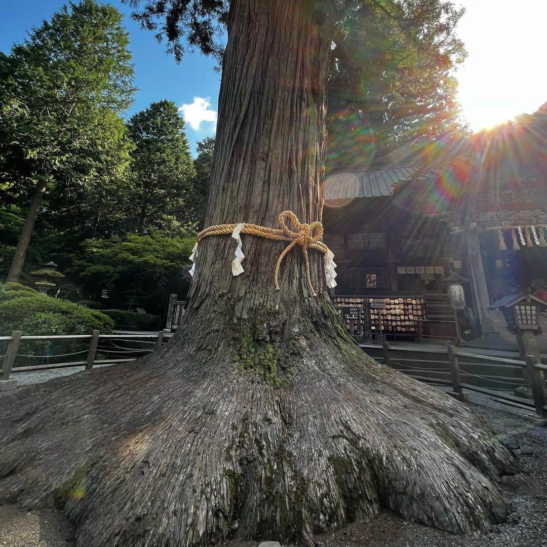 鳥越裕貴さんのインスタグラム写真 - (鳥越裕貴Instagram)「⛩️ #山梨 #富士山 #神社 #富士山本宮浅間大社 #北口本宮冨士浅間神社 #不二阿祖山太神宮  #神社 #神社巡り #御朱印帳  #富士急周りも素敵神社たくさんでした」10月7日 23時08分 - yuki_torigoe.cleftchin