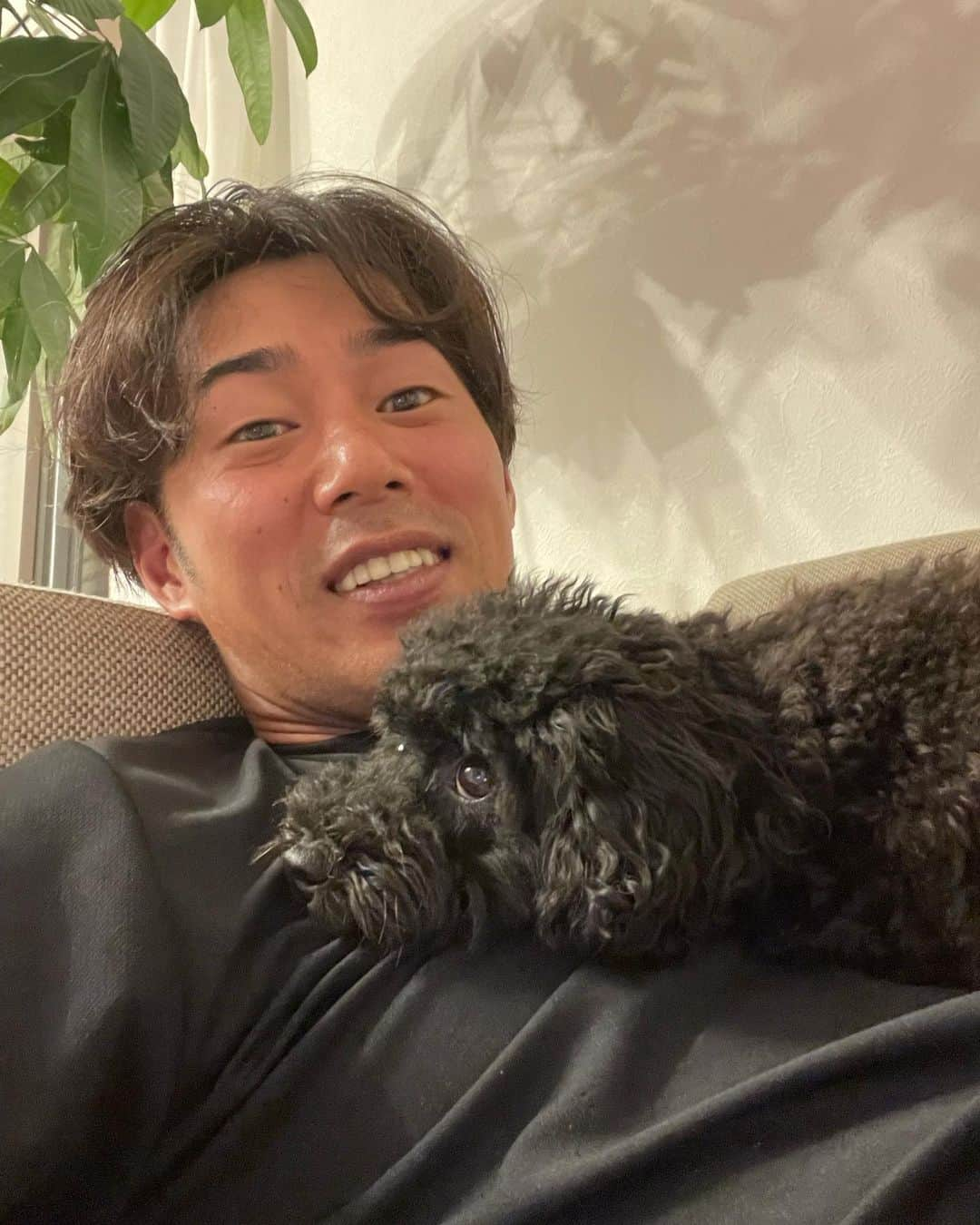 立岡宗一郎のインスタグラム：「風呂上がりのソファでのゴロゴロ時間には、必ず乗っかってきます。 風呂上がりで暑いけど可愛いから許してます😍  #タイニープードル  #黒プー  #いぬすたぐらむ  #犬のいる暮らし #名前は #殿」