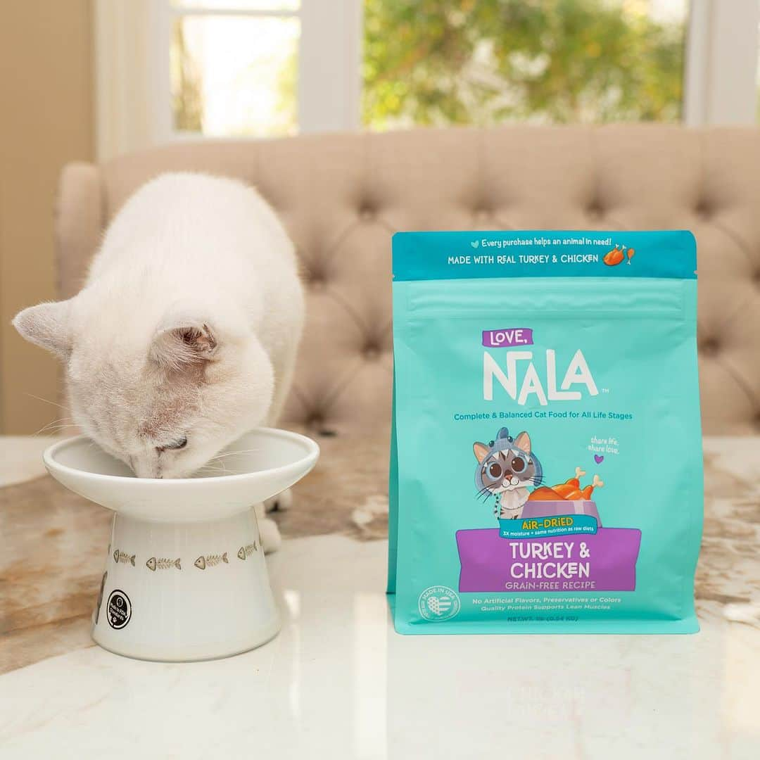 ミスター・ホワイトさんのインスタグラム写真 - (ミスター・ホワイトInstagram)「Congratulations to my sister @nala_cat ❤️ She launched her award winning complete and balance Air Dried Cat food made in the USA 😍 Available for pre order now! Use code “AirDried” for 25% off at checkout during pre order period! www.lovenala.com  #airdried #catfood #lovenala #catsofinstagram #nalacat #nalathecat #lovenalaco」10月7日 23時27分 - white_coffee_cat