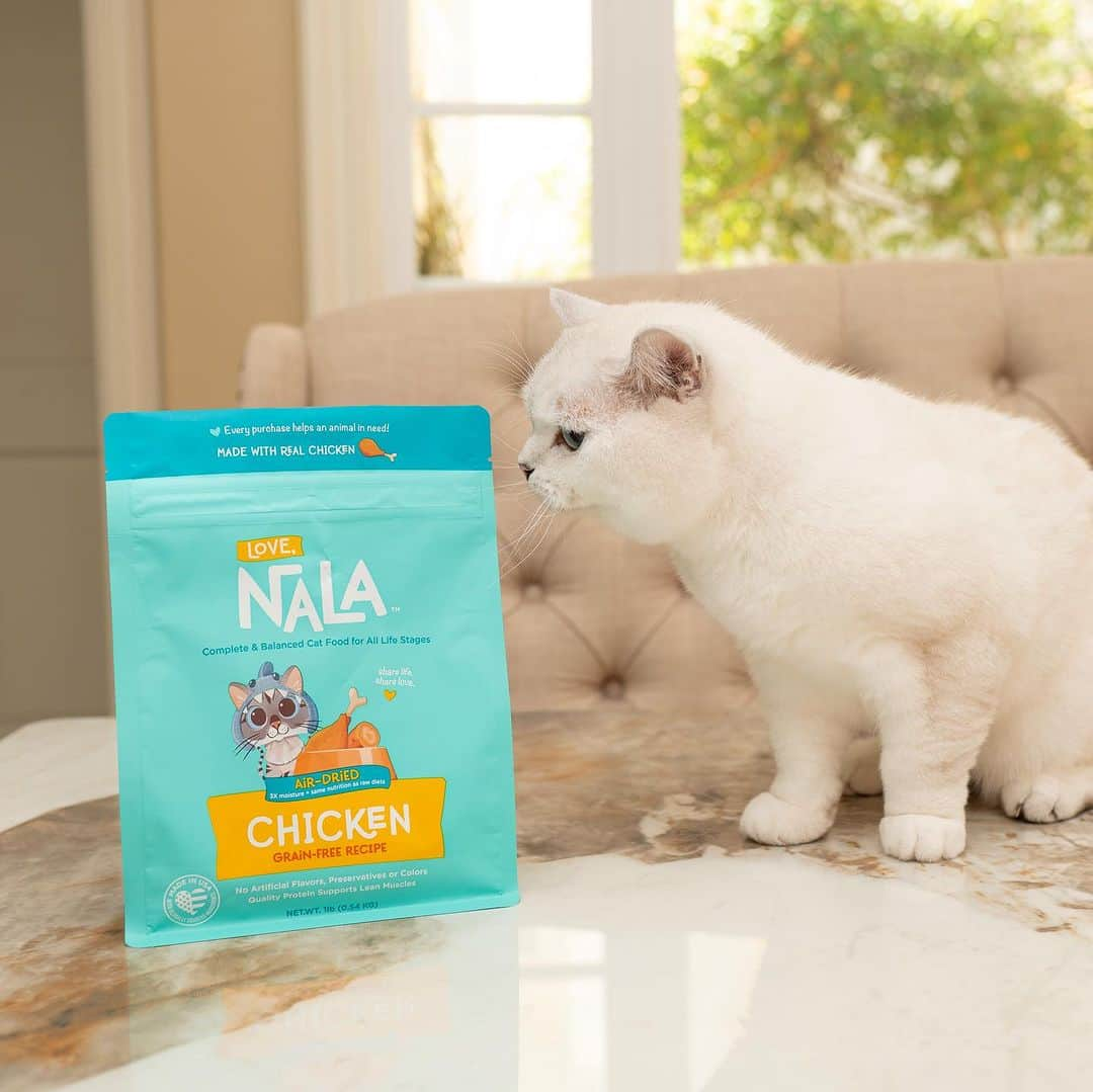 ミスター・ホワイトさんのインスタグラム写真 - (ミスター・ホワイトInstagram)「Congratulations to my sister @nala_cat ❤️ She launched her award winning complete and balance Air Dried Cat food made in the USA 😍 Available for pre order now! Use code “AirDried” for 25% off at checkout during pre order period! www.lovenala.com  #airdried #catfood #lovenala #catsofinstagram #nalacat #nalathecat #lovenalaco」10月7日 23時27分 - white_coffee_cat