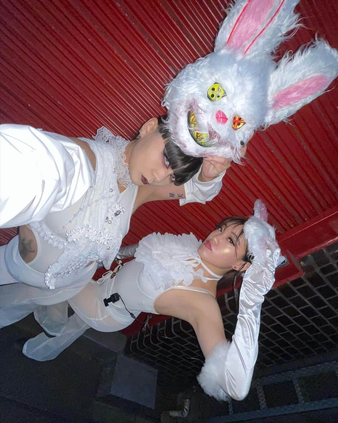 Hinanoさんのインスタグラム写真 - (HinanoInstagram)「うさぎちゃん🐇 2丁目の華金は賑やかでfreedom🏳️‍🌈🏳️‍⚧️ #shinjuku #shinjuku2chome #rabbit #うさぎ」10月7日 23時35分 - no7_k