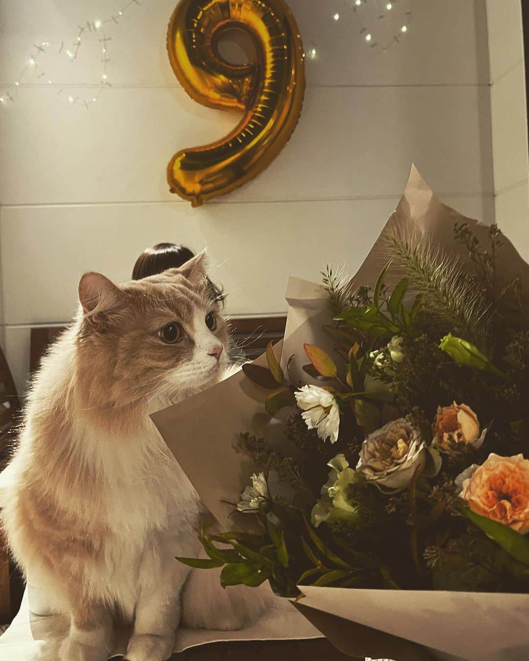 石井謙伍のインスタグラム：「今日で結婚9周年 🎉 今年は自宅でささやかに🐈 いつもありがとう💕 これからもよろしくお願いします🫶 #結婚記念日」