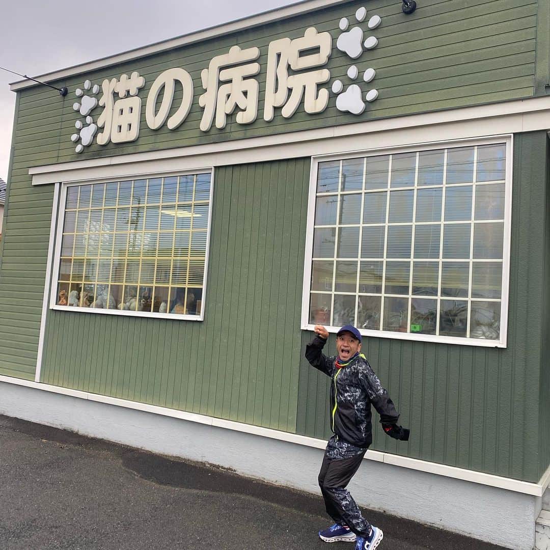 猫ひろしのインスタグラム