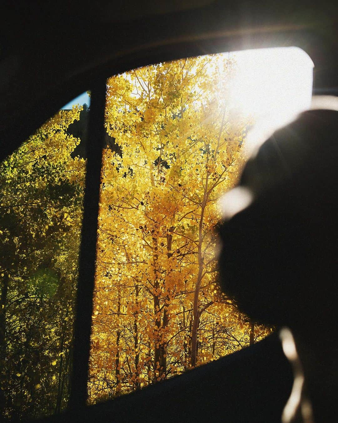 マディさんのインスタグラム写真 - (マディInstagram)「Hadn’t seen the mountains in a few months ✨ we were throwing down miles to get to Arizona by Sunday but I’m real glad I slowed down…it’s pretty out there y’all」10月7日 23時45分 - thiswildidea