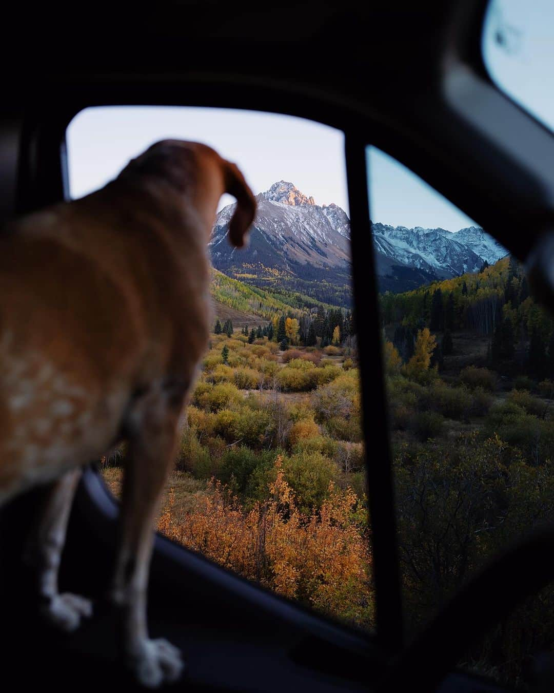 マディさんのインスタグラム写真 - (マディInstagram)「Hadn’t seen the mountains in a few months ✨ we were throwing down miles to get to Arizona by Sunday but I’m real glad I slowed down…it’s pretty out there y’all」10月7日 23時45分 - thiswildidea