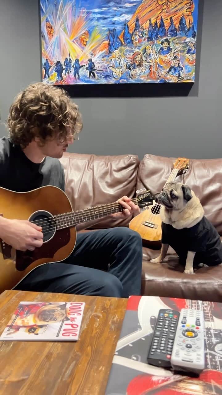 itsdougthepugのインスタグラム：「Doug x @deanlewis ❣️ Doug was serenaded by Dean with his new single “Trust Me Mate” and a new friendship was born!」