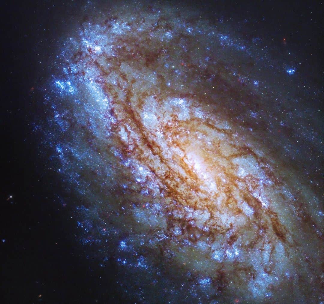 NASAのインスタグラム：「We hope your week was galactic! 🌌  If not, well, @NASAHubble may be able to help. This week, Hubble celebrated Galaxy Week, with a brand new galaxy image every day. Explore shimmering stars and bright bursts of color:  Image 1: NGC 4654 in the constellation Virgo is a massive, tilted spiral galaxy with a bright orange core, surrounded by large spiral arms glowing with bright blue stars and laced through with dark brown dust.  Image 2: NGC 612 is a Seyfert galaxy. It fills the image, viewed edge-on against black space dotted with faint stars, seen as an orange and blue streak with bright light emitting from its center.  Image 3: NGC 6951 is about 78 million light-years away. It’s a massive spiral galaxy filling the image. A glowing, bright-white center is surrounded by spiral arms full of bright blue stars and laced through with dark brown dust. Distant stars dot the rest of the image, in addition to a handful of foreground stars with diffraction spikes. A particularly bright and large foreground star is seen at lower left.  Image 4: NGC 1087 is a galaxy with a bright, yellowish core, surrounded by spiral arms most clearly defined by interlacing dark brown dust. Bursts of pink and blue star formation also crowd around the galaxy, all seen against black space.  Image 5: NGC 5068 has thousands of star-forming regions. Splotches of bright-pink and blue-white fill the lower half of the image. A bright bar of white stars extends downward from top-center toward the left. Random areas of dusty clouds form dark streams against the bright backdrop.  #NASA #Space #Galaxy #Hubble #HubbleSpaceTelescope #NASAHubble」