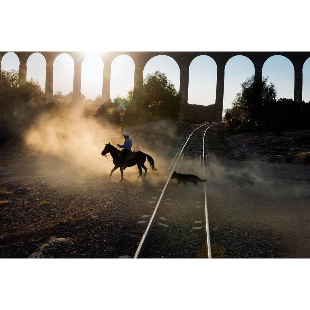 スティーブ・マカリーのインスタグラム：「Aqueduct of Padre Tembleque, #Mexico, 2016.」