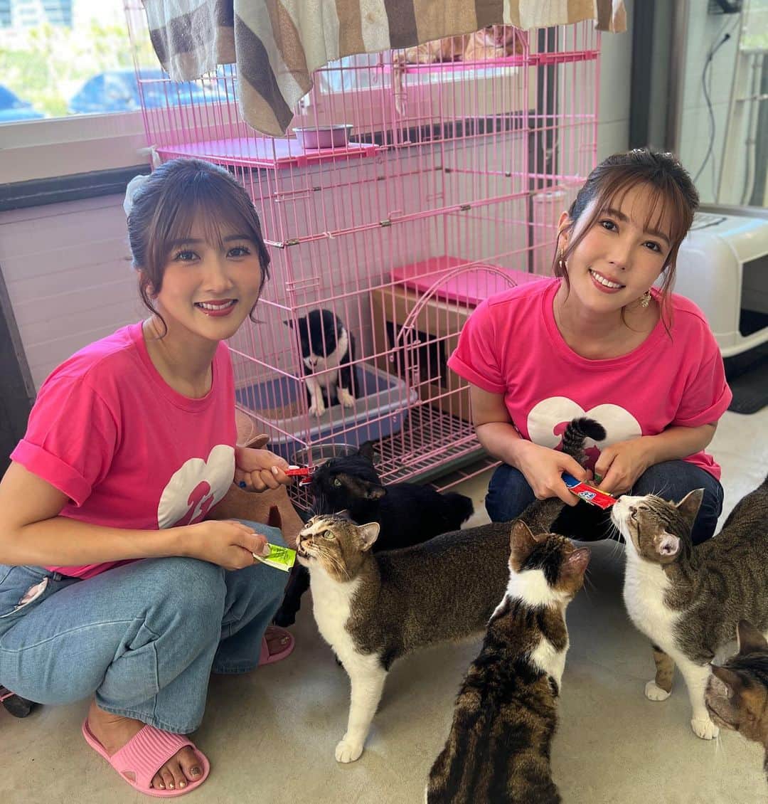 大槻ひびきさんのインスタグラム写真 - (大槻ひびきInstagram)「🐶🐱  大槻響和波多野結衣 將把活動銷售的一部分 捐款到動物收容所！ 我喜愛動物🐈‍⬛ 願獲救的狗和貓能找到新主人， 並擁有安全舒適的生活☺️  台湾での チャリティー活動について ご報告します🐶🐱  大槻ひびき&波多野結衣 デビュー15周年イベントを開催し 今回その売上の一部を 動物保護のために 台湾の動物保護施設へ寄付します。  今回私たちは台湾の動物保護施設を訪問し 保護されたワンちゃん、猫ちゃん達に会ってきました🐶🐱 飼い主がいないワンちゃん猫ちゃん達が安全に保護され ここで治療をしたり 人と触れ合い少しずつ環境に慣れていって 新しい飼い主と出会うまで 私達がお手伝いできたら、と思っています。  ワンちゃんも猫ちゃんも 大好きなので 実際に触れ合っていると 可愛くて可愛いくて…🥹🧡 私達のいろんな想いを取材時にお話しました。  この先保護猫ちゃんや保護ワンちゃんたちにとって 幸せな未来がやってきますように。  #taiwan」10月8日 1時13分 - yanhibi0221