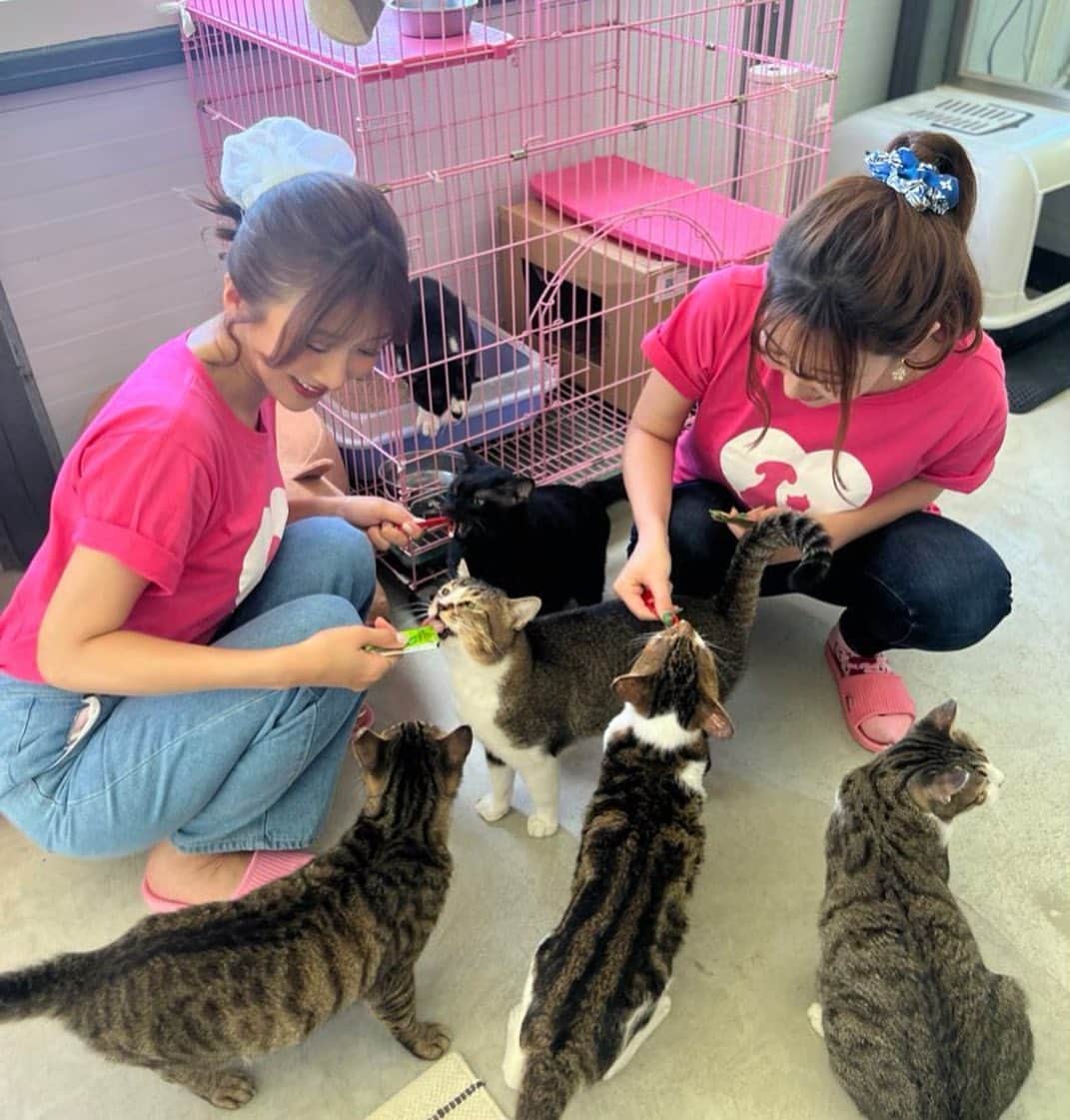 大槻ひびきさんのインスタグラム写真 - (大槻ひびきInstagram)「🐶🐱  大槻響和波多野結衣 將把活動銷售的一部分 捐款到動物收容所！ 我喜愛動物🐈‍⬛ 願獲救的狗和貓能找到新主人， 並擁有安全舒適的生活☺️  台湾での チャリティー活動について ご報告します🐶🐱  大槻ひびき&波多野結衣 デビュー15周年イベントを開催し 今回その売上の一部を 動物保護のために 台湾の動物保護施設へ寄付します。  今回私たちは台湾の動物保護施設を訪問し 保護されたワンちゃん、猫ちゃん達に会ってきました🐶🐱 飼い主がいないワンちゃん猫ちゃん達が安全に保護され ここで治療をしたり 人と触れ合い少しずつ環境に慣れていって 新しい飼い主と出会うまで 私達がお手伝いできたら、と思っています。  ワンちゃんも猫ちゃんも 大好きなので 実際に触れ合っていると 可愛くて可愛いくて…🥹🧡 私達のいろんな想いを取材時にお話しました。  この先保護猫ちゃんや保護ワンちゃんたちにとって 幸せな未来がやってきますように。  #taiwan」10月8日 1時13分 - yanhibi0221