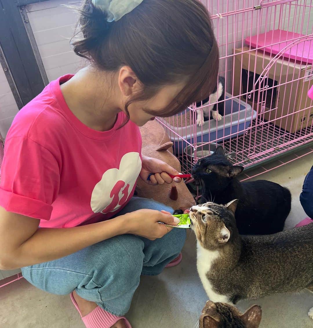 大槻ひびきさんのインスタグラム写真 - (大槻ひびきInstagram)「🐶🐱  大槻響和波多野結衣 將把活動銷售的一部分 捐款到動物收容所！ 我喜愛動物🐈‍⬛ 願獲救的狗和貓能找到新主人， 並擁有安全舒適的生活☺️  台湾での チャリティー活動について ご報告します🐶🐱  大槻ひびき&波多野結衣 デビュー15周年イベントを開催し 今回その売上の一部を 動物保護のために 台湾の動物保護施設へ寄付します。  今回私たちは台湾の動物保護施設を訪問し 保護されたワンちゃん、猫ちゃん達に会ってきました🐶🐱 飼い主がいないワンちゃん猫ちゃん達が安全に保護され ここで治療をしたり 人と触れ合い少しずつ環境に慣れていって 新しい飼い主と出会うまで 私達がお手伝いできたら、と思っています。  ワンちゃんも猫ちゃんも 大好きなので 実際に触れ合っていると 可愛くて可愛いくて…🥹🧡 私達のいろんな想いを取材時にお話しました。  この先保護猫ちゃんや保護ワンちゃんたちにとって 幸せな未来がやってきますように。  #taiwan」10月8日 1時13分 - yanhibi0221
