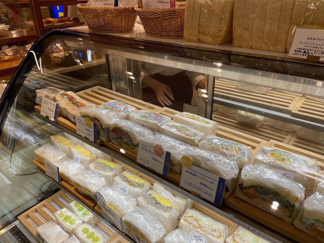 松浦まりなさんのインスタグラム写真 - (松浦まりなInstagram)「エイミーサンドウィッチ🥪  🍚東京都新宿区西新宿１丁目１−５　ルミネ新宿ルミネ１　B2階  にあるよ😆☀️  見た目も美しい断面！ 具はどれも奥までぎっしりあって ボリュームがあるし、食べ応えある！ カツ系や玉子系のものは男性も満足できる👨‍🍼  イートインもあり、テイクアウト🥡もあり😆 他にも種類沢山あって迷った〜✨ デザート系もあったからオヤツにもよき🍁  PR @eimysandwich #eimysandwichルミネ新宿店 #eimysandwich #プレミアムサンドウィッチ #サンドウィッチ専門店 #新宿パン #新宿パン屋 #新宿ランチ #新宿テイクアウト」10月8日 1時34分 - matsuura.marina