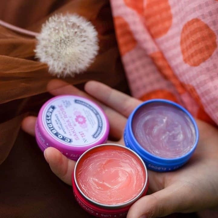 C.O. Bigelowのインスタグラム：「Get @1998miss's glossy look 💋 with our Assorted Salve Trio Box!  Featuring Lavender, Sakura Rose, and Rose salves, 💫 it's a trio of luxurious, multi-functional beauty essentials. 👏 Perfect for pampering yourself or gifting to a loved one. 🎁⁠ ⁠ 📷️ @1998miss」