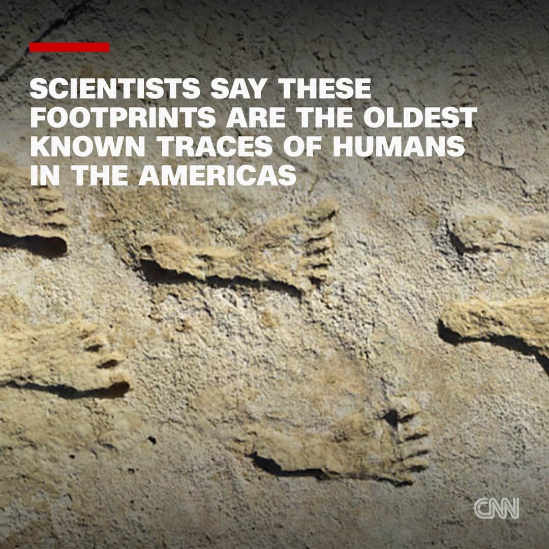 cnn-cnninstagram-when-the-discovery-of-these-fossilized
