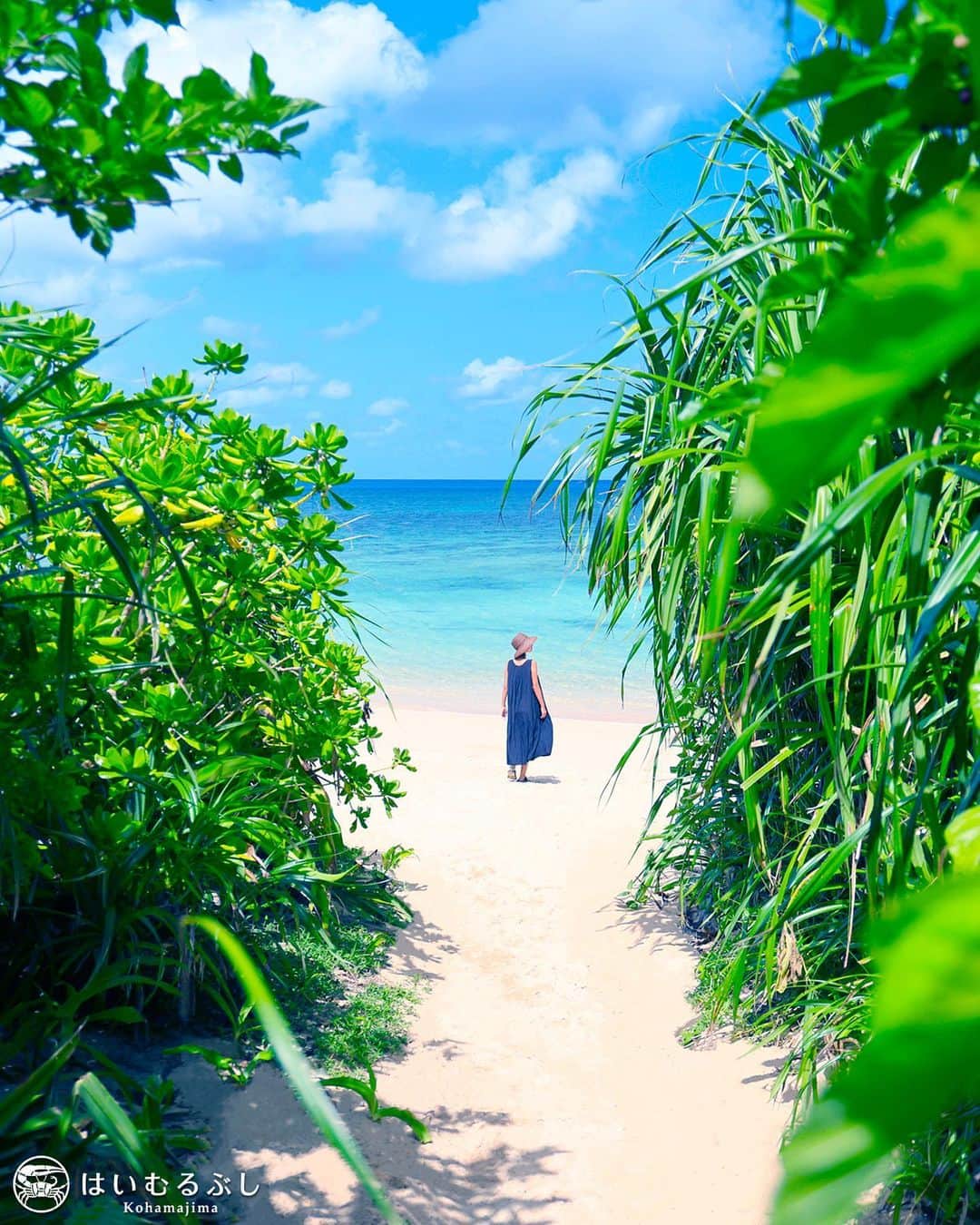 HAIMURUBUSHI はいむるぶしのインスタグラム：「小浜島・はいむるぶしから癒しの風景をお届けします。 亜熱帯の森を抜けると青く煌めくサンゴ礁の海… 白い砂浜には小波は打ち寄せ、心地よい海風と波音が優しく出迎えてくれます。 ここにしかない、自然からの贈り物に癒されます。 #沖縄 #八重山諸島 #離島 #海 #砂浜 #波 #景色 #旅行 #癒し #小浜島 #リゾート #ホテル #はいむるぶし  #japan #okinawa #island #beautiful #scenery #sea #beach #road #travel #resort #hotel #haimurubushi」