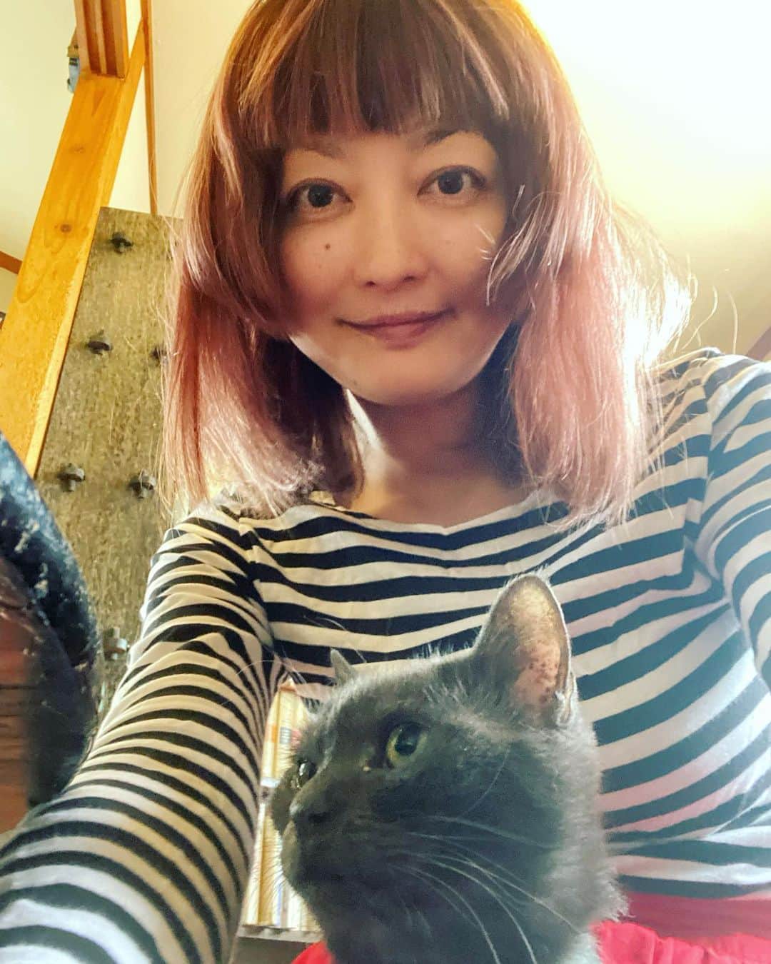 野本かりあさんのインスタグラム写真 - (野本かりあInstagram)「あ〜何て幸せなんだぁ。 猫と戯れながら、ランチ食べれるとは❤️ #labkitchen matsue」10月8日 13時40分 - karianomoto