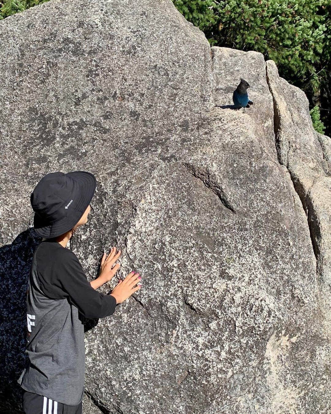 森万由子さんのインスタグラム写真 - (森万由子Instagram)「山を登りました🏔️  ブルージェイを近くで見た🐦 かわいい！」10月8日 5時38分 - mayukomori0411