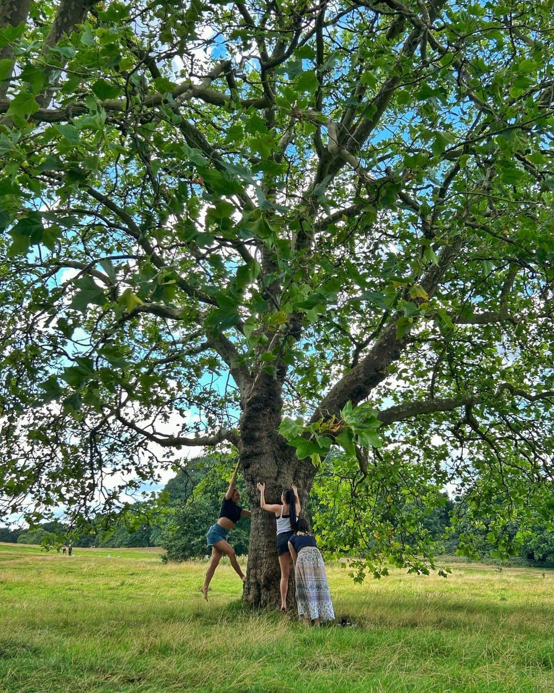 ペイトン・アーンストのインスタグラム：「London park days>>」