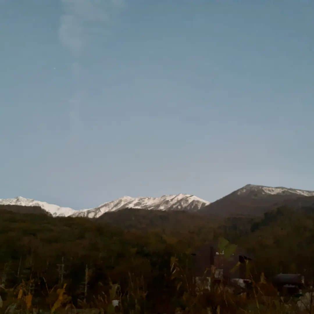 栂池高原スキー場さんのインスタグラム写真 - (栂池高原スキー場Instagram)「おはようございます つがいけゴンドラの朝一情報です 天候　晴れ 気温　4.0℃ 風　　0m/s  白馬三山など、雪で白くなり 青空が出れば三段紅葉を楽しめる時期になりました！！  紅葉もどんどんと進んでいます。 山頂付近は、寒いので暖かい服装で お越しください。  是非栂池高原へお越しください。 お待ちしております。  #つがいけ高原スキー場  #つがいけロープウェイ  #白馬つがいけwow  #白馬 #長野 #空中散歩 #紅葉 #家族との時間」10月8日 6時28分 - tsugaike_kogen