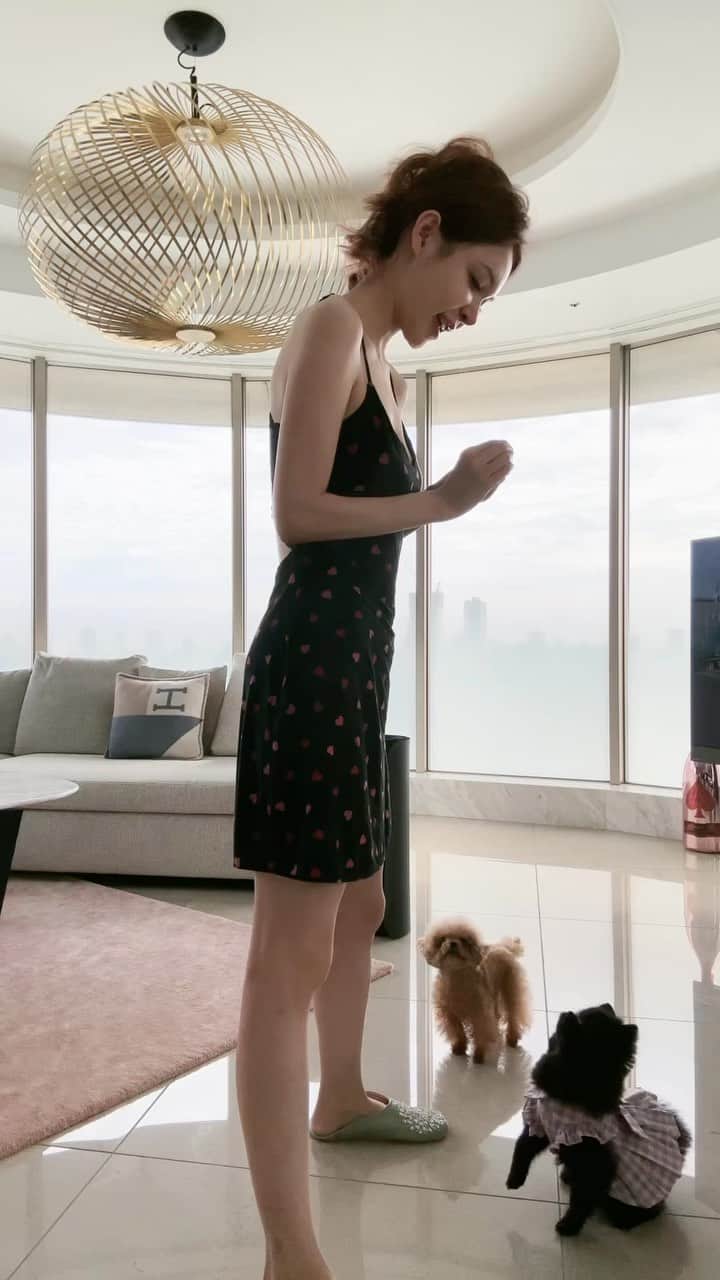 のインスタグラム：「🐶トレーニング頑張ってる♡」