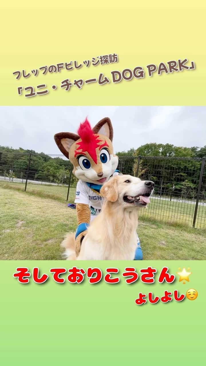 北海道日本ハムファイターズ フレップのインスタグラム