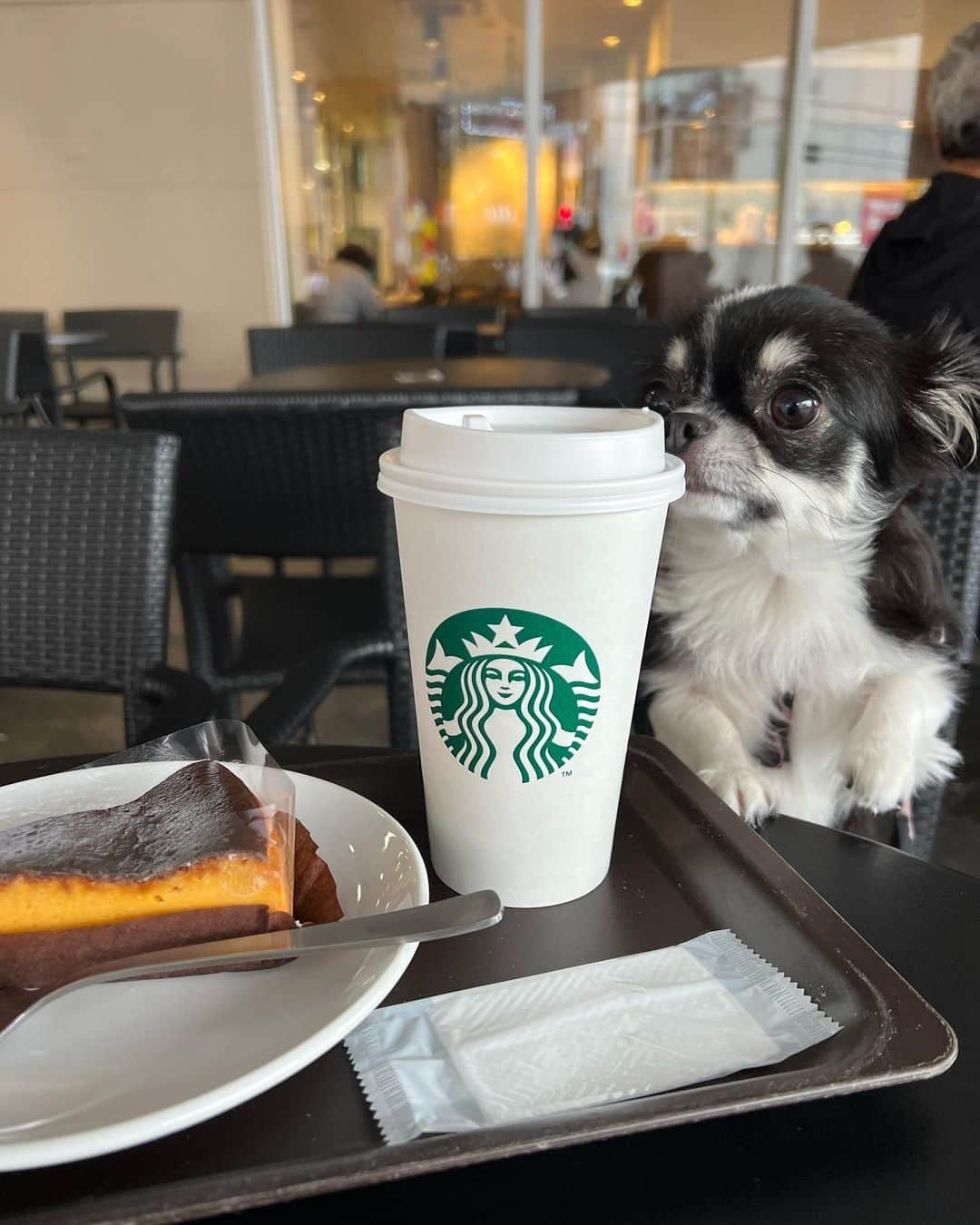 青木玲緒樹のインスタグラム：「☕️🐶🍂」